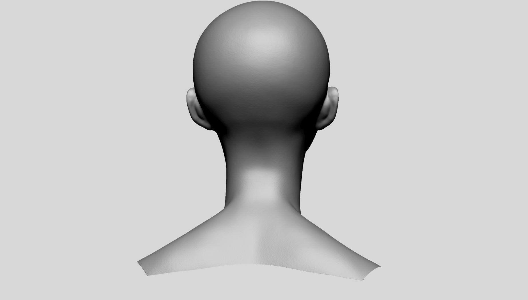 Female Head Basemesh D 3D model_7