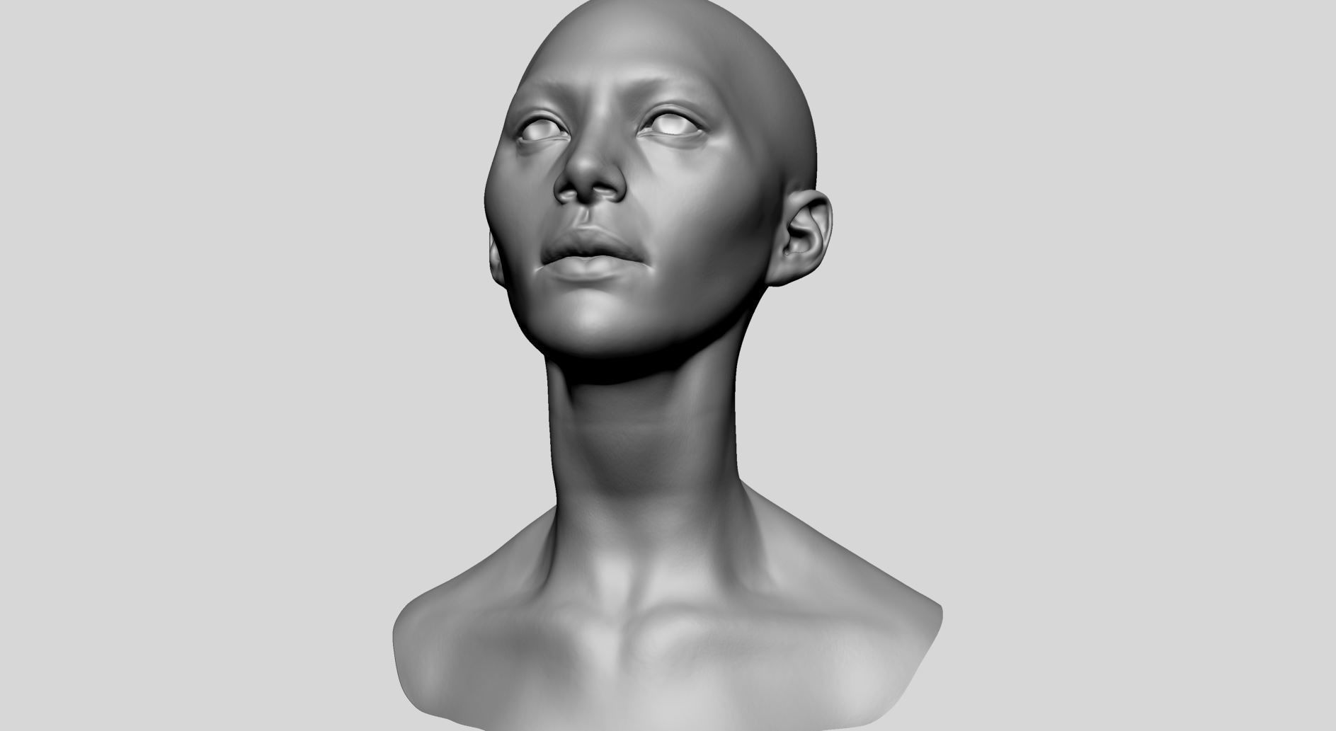 Female Head Basemesh D 3D model_10