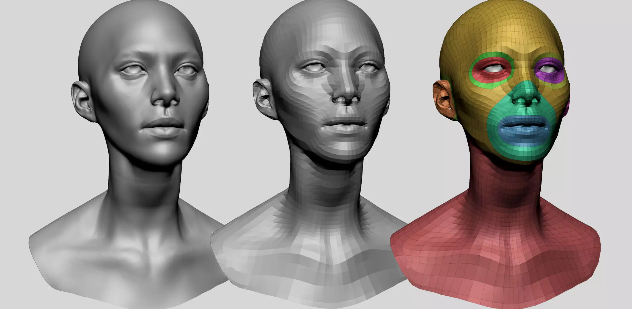 Female Head Basemesh D 3D model_0