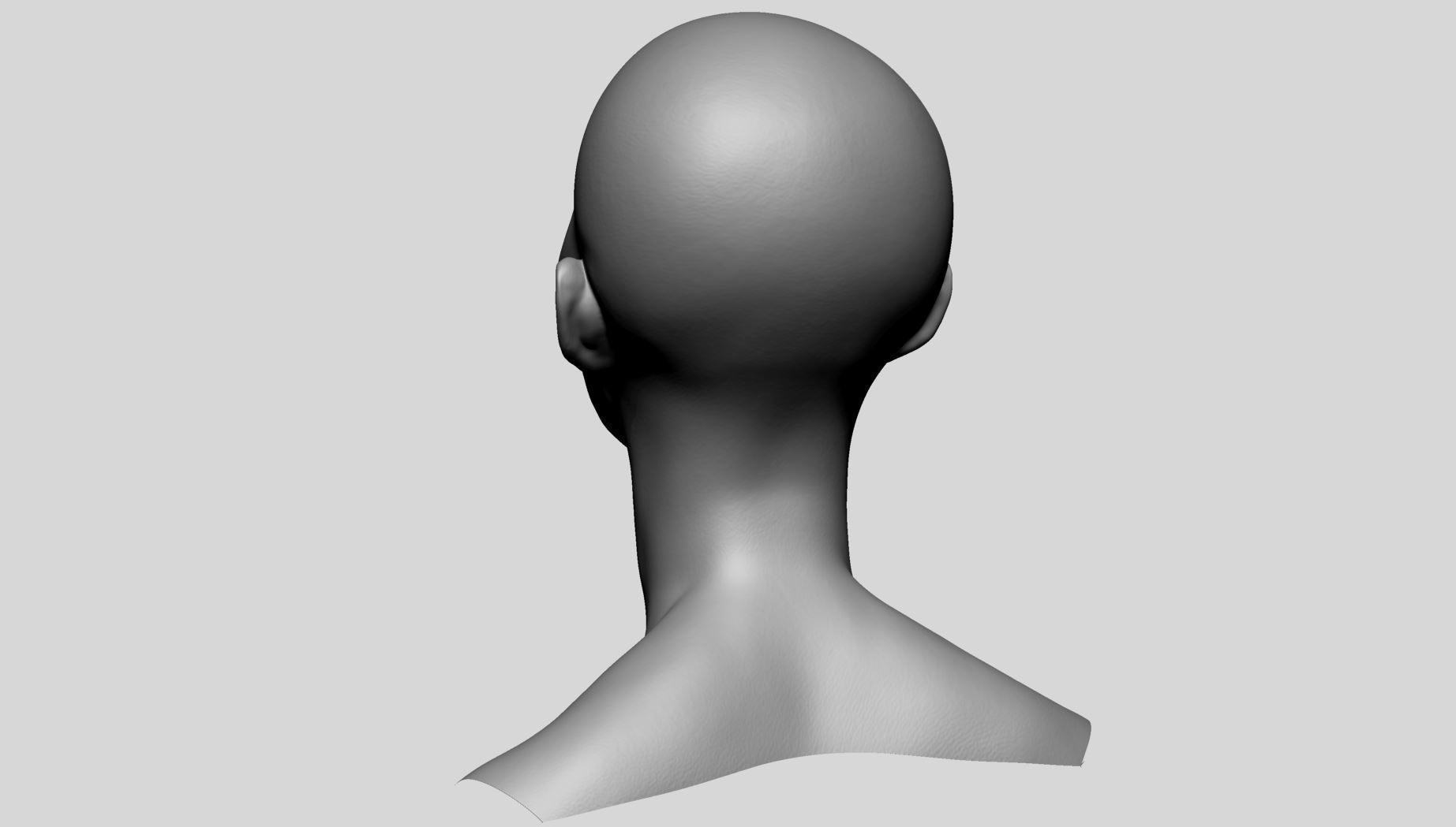 Female Head Basemesh D 3D model_8