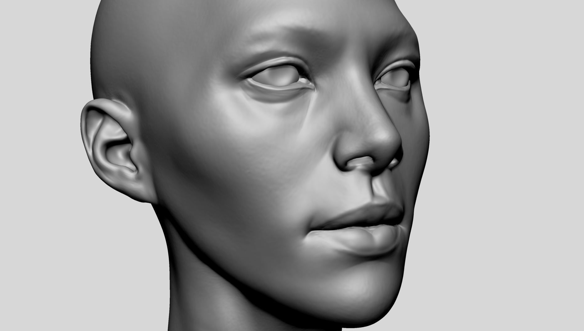 Female Head Basemesh D 3D model_12