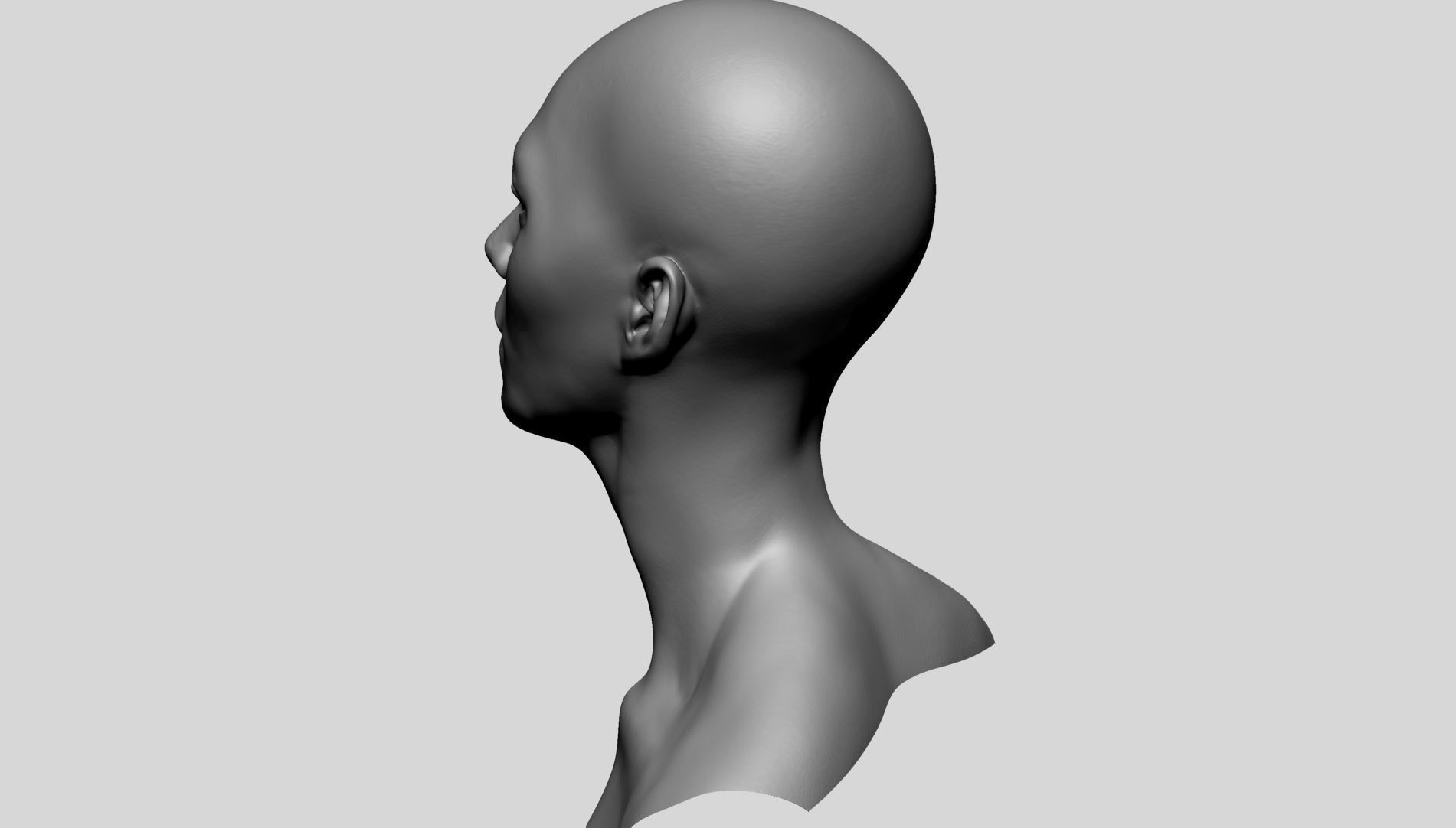 Female Head Basemesh D 3D model_9