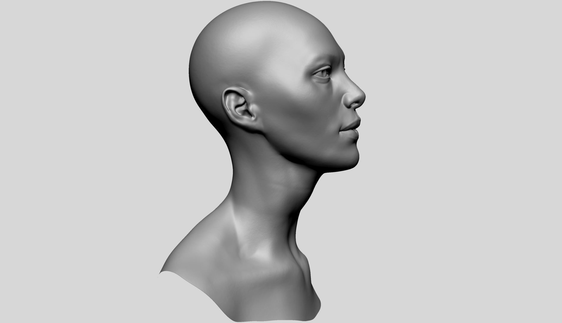 Female Head Basemesh D 3D model_6