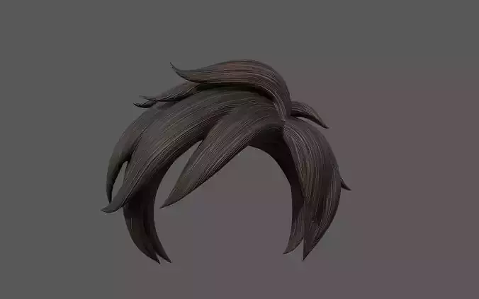 Hair Model