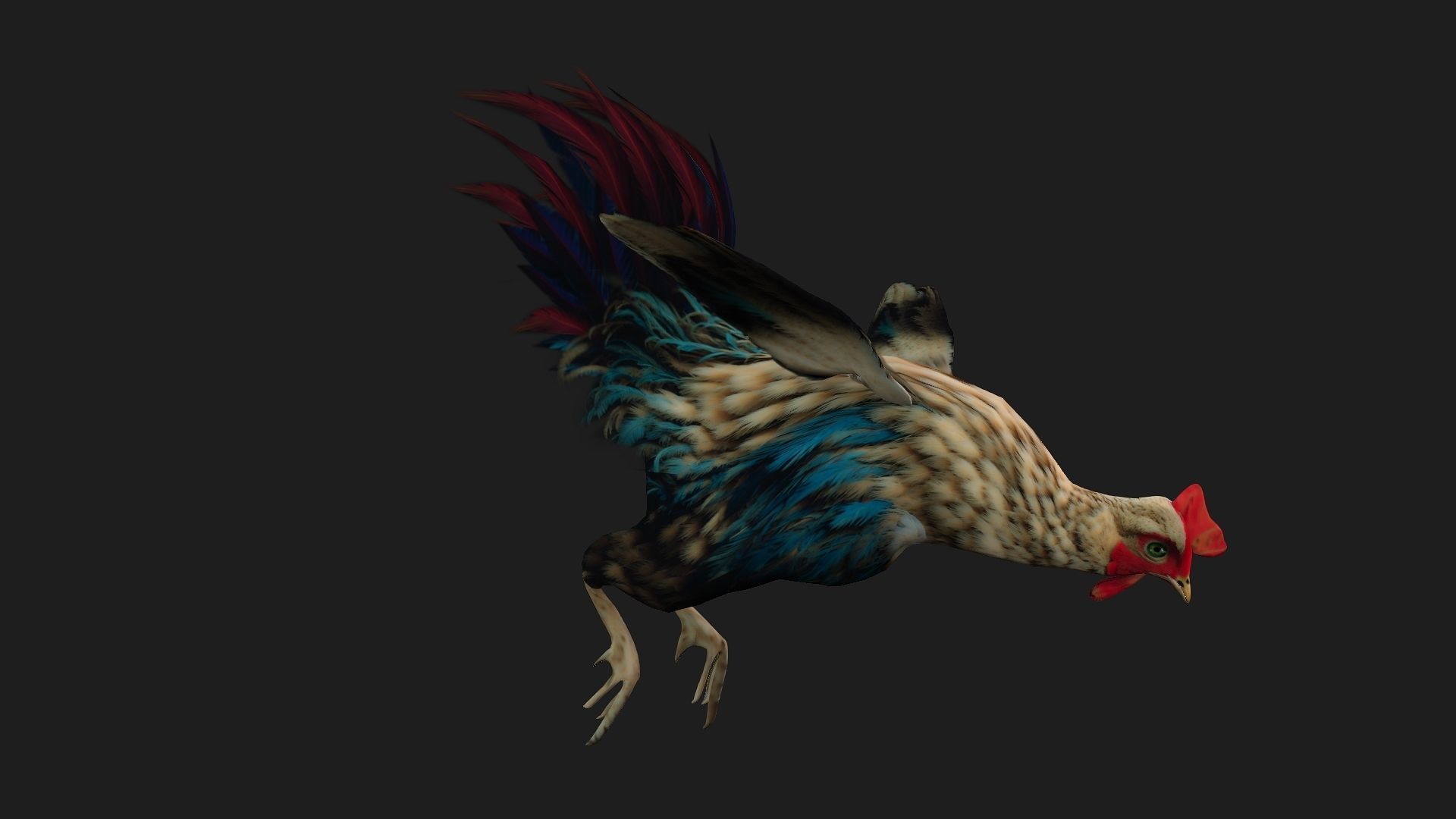 Chicken A4 Low-poly 3D model_7