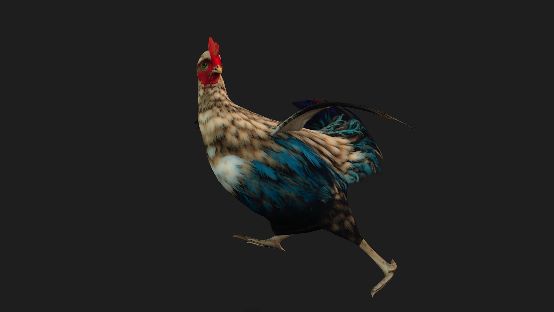 Chicken A4 Low-poly 3D model_3
