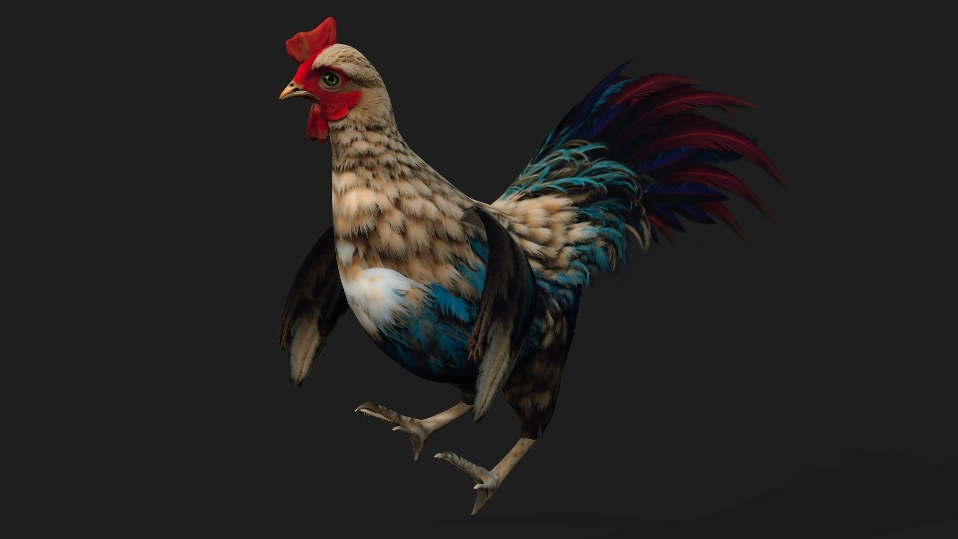 Chicken A4 Low-poly 3D model_10