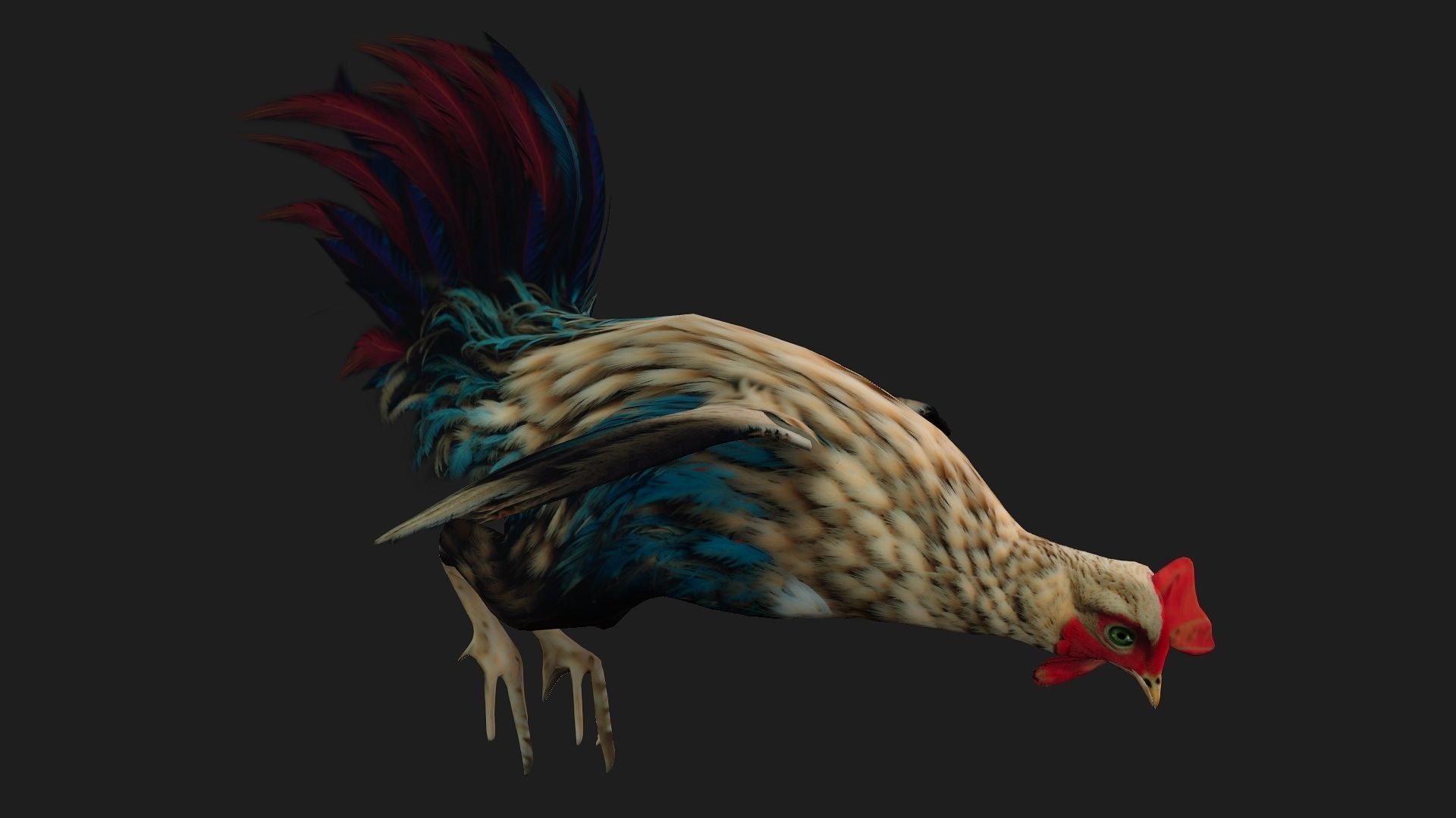 Chicken A4 Low-poly 3D model_8