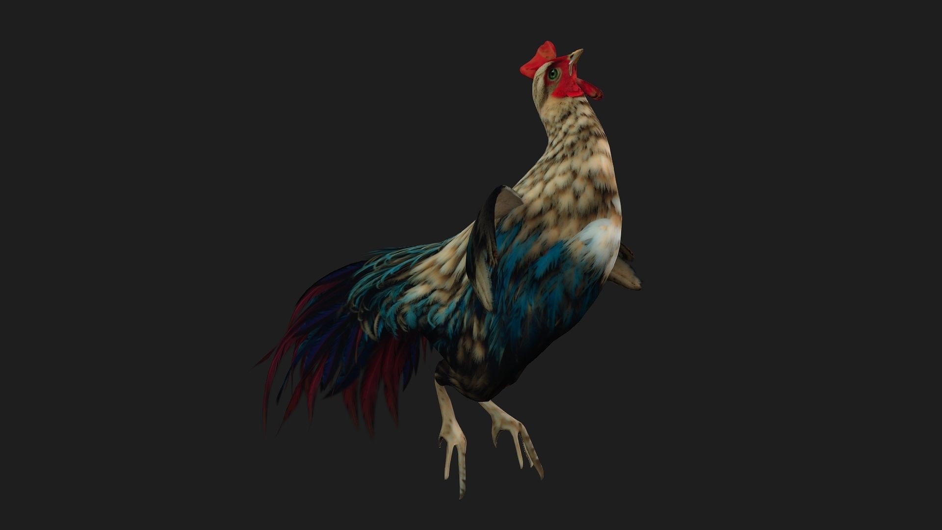 Chicken A4 Low-poly 3D model_6