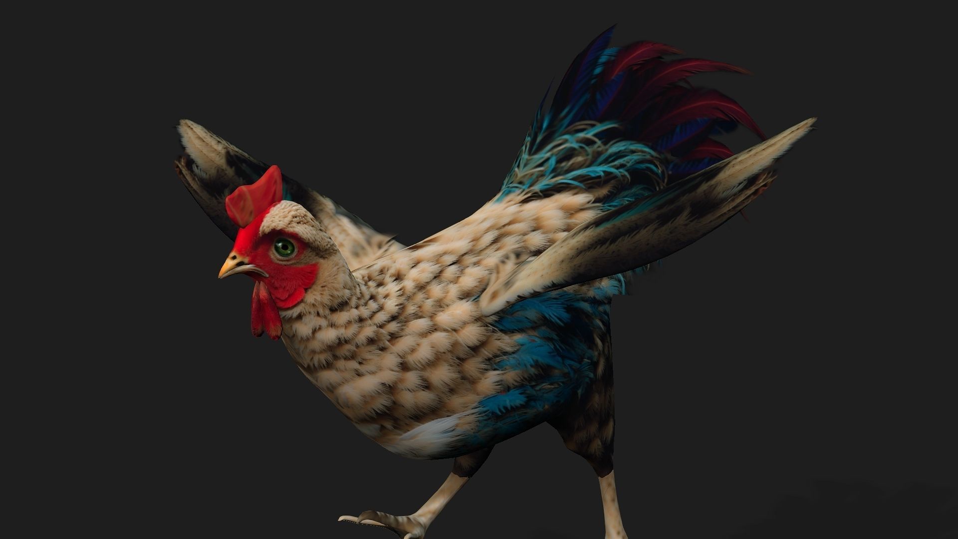 Chicken A4 Low-poly 3D model_11