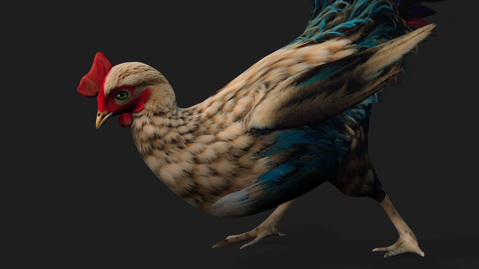 Chicken A4 Low-poly 3D model_12