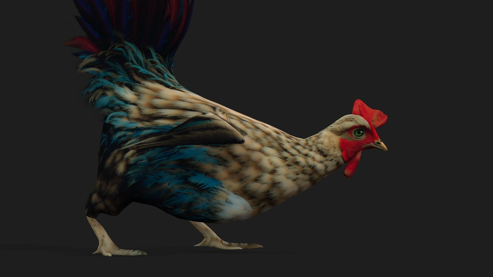 Chicken A4 Low-poly 3D model_15
