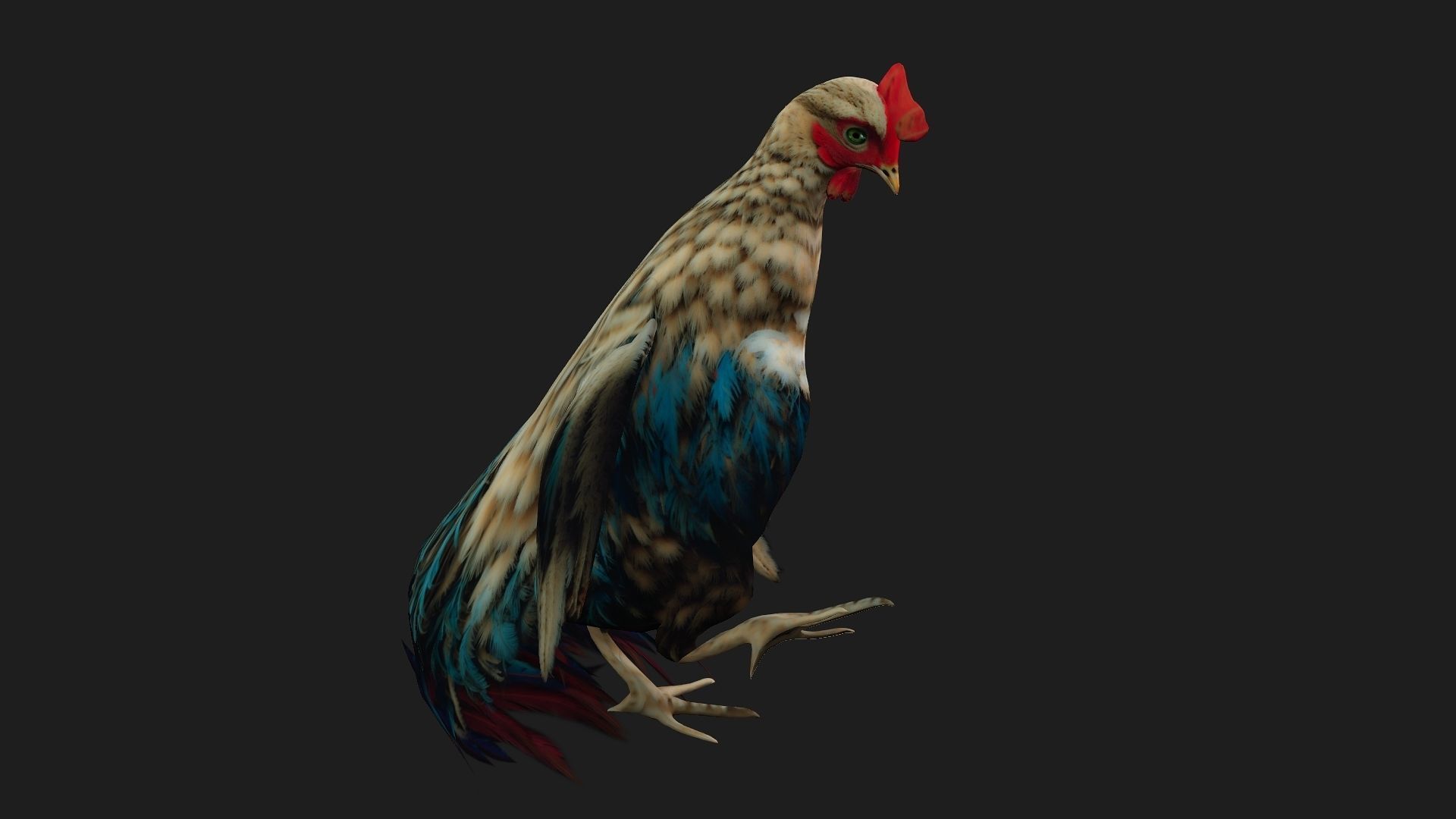 Chicken A4 Low-poly 3D model_4