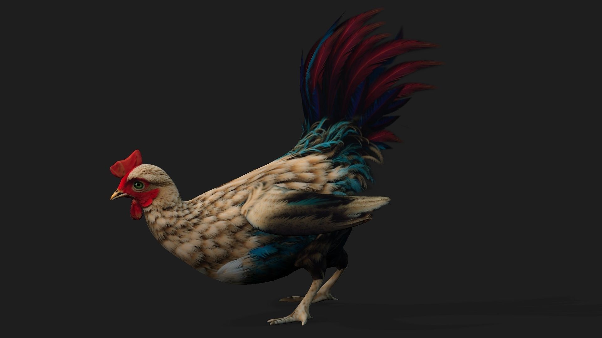 Chicken A4 Low-poly 3D model_2