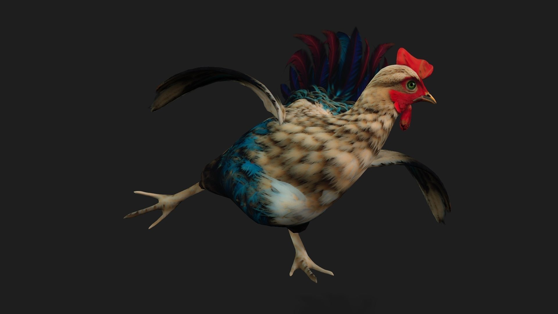 Chicken A4 Low-poly 3D model_16