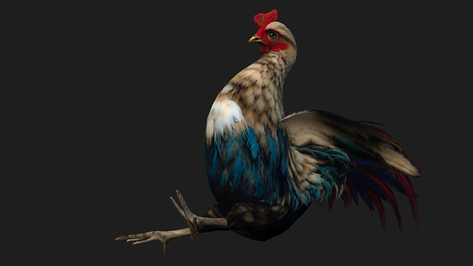 Chicken A4 Low-poly 3D model_13