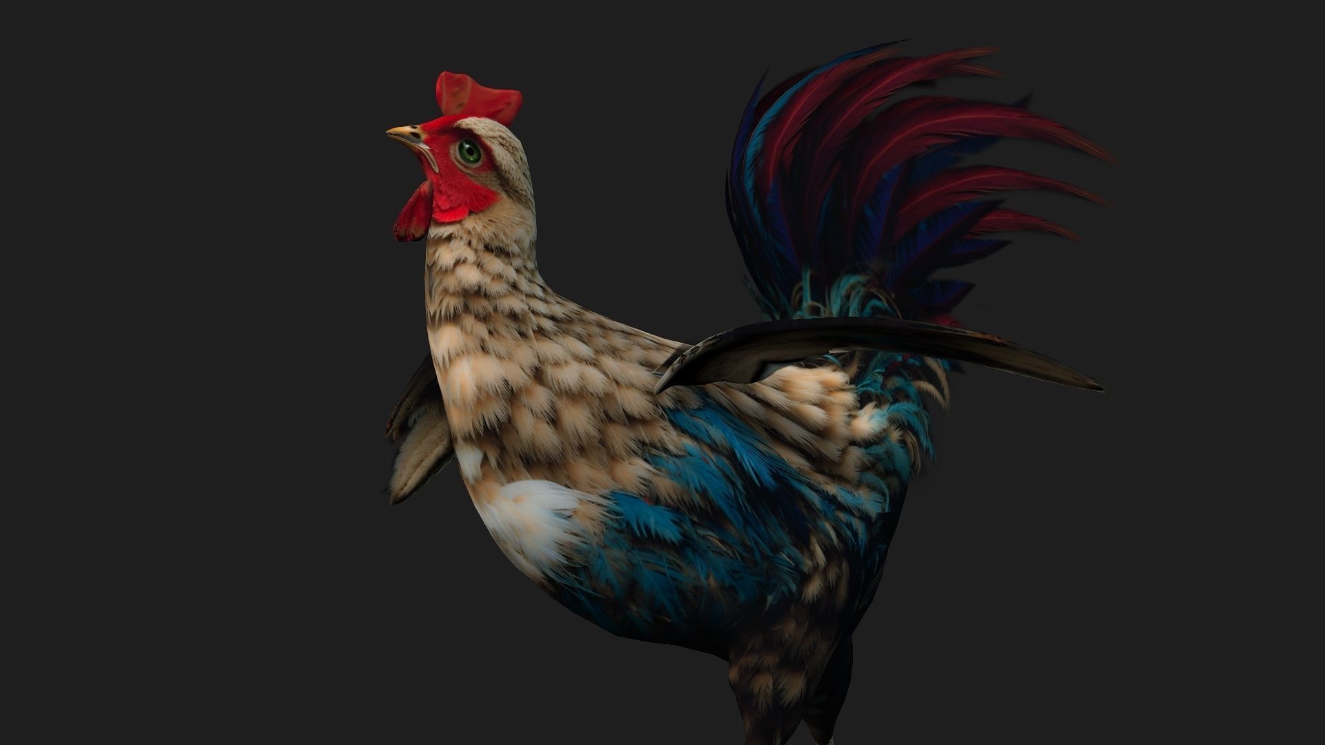 Chicken A4 Low-poly 3D model_14