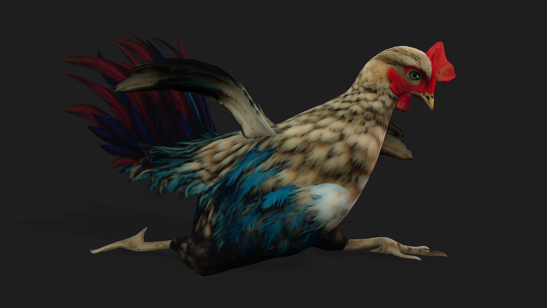 Chicken A4 Low-poly 3D model_5