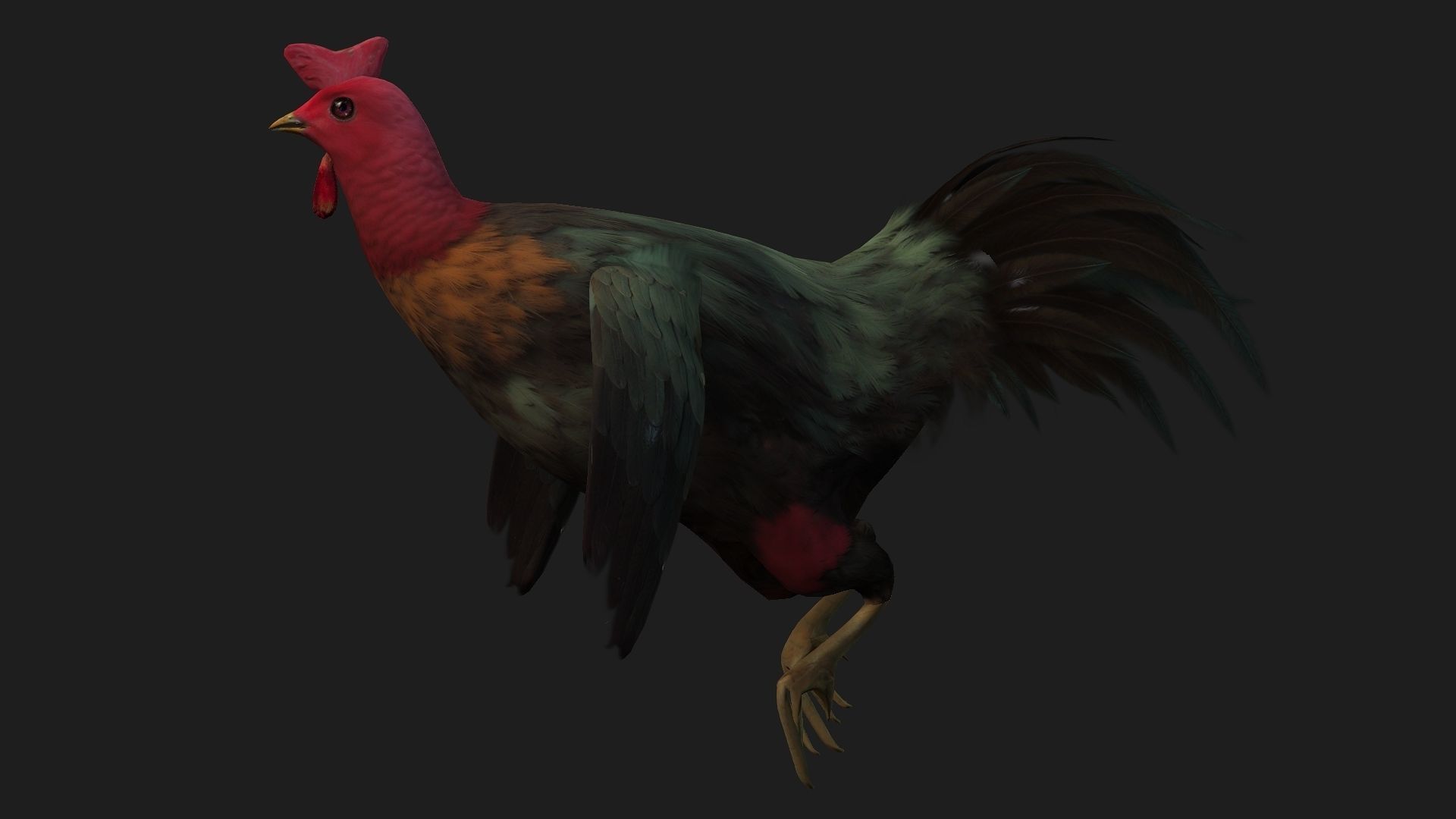 Chicken A5 Low-poly 3D model_7