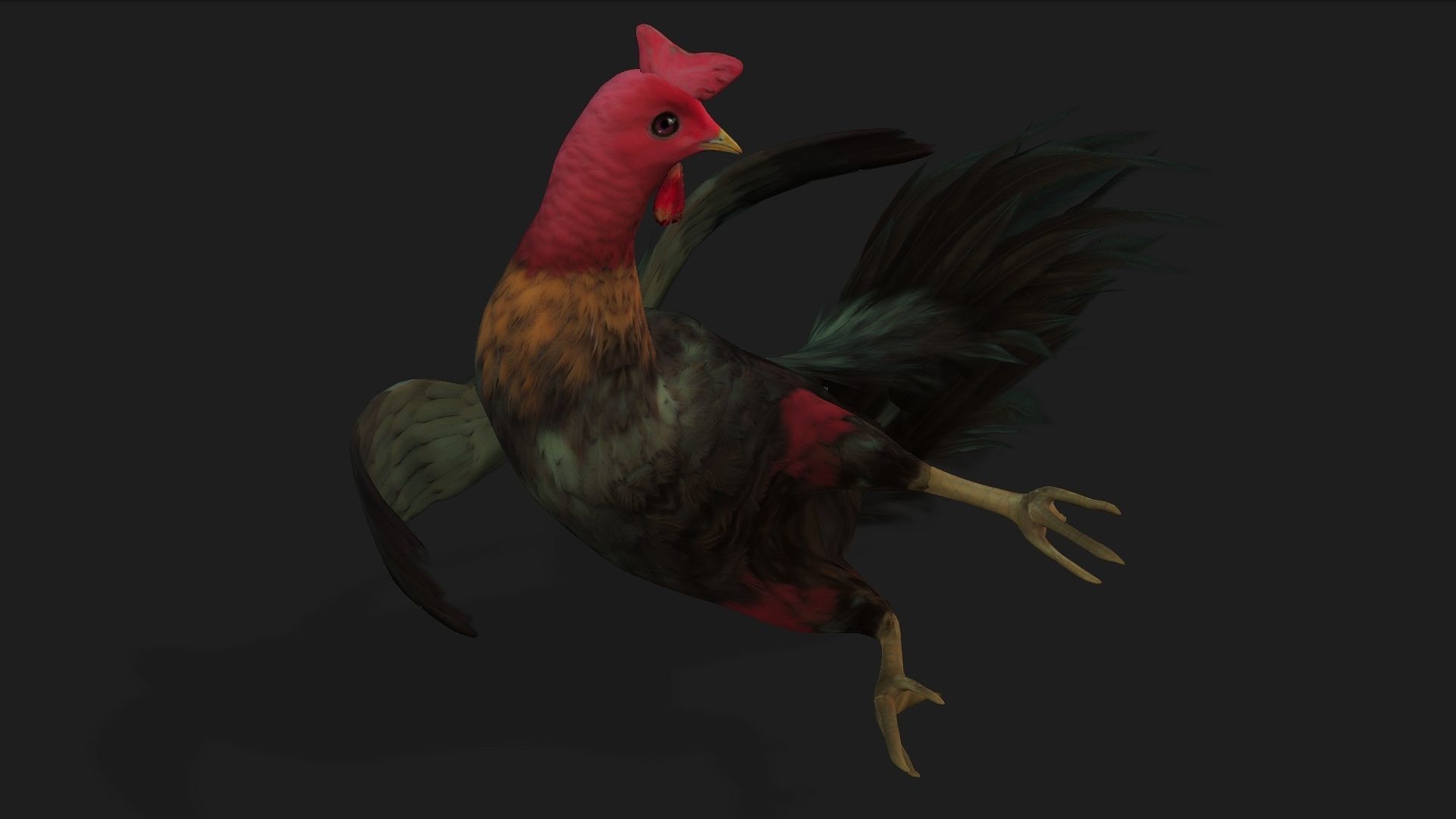 Chicken A5 Low-poly 3D model_5