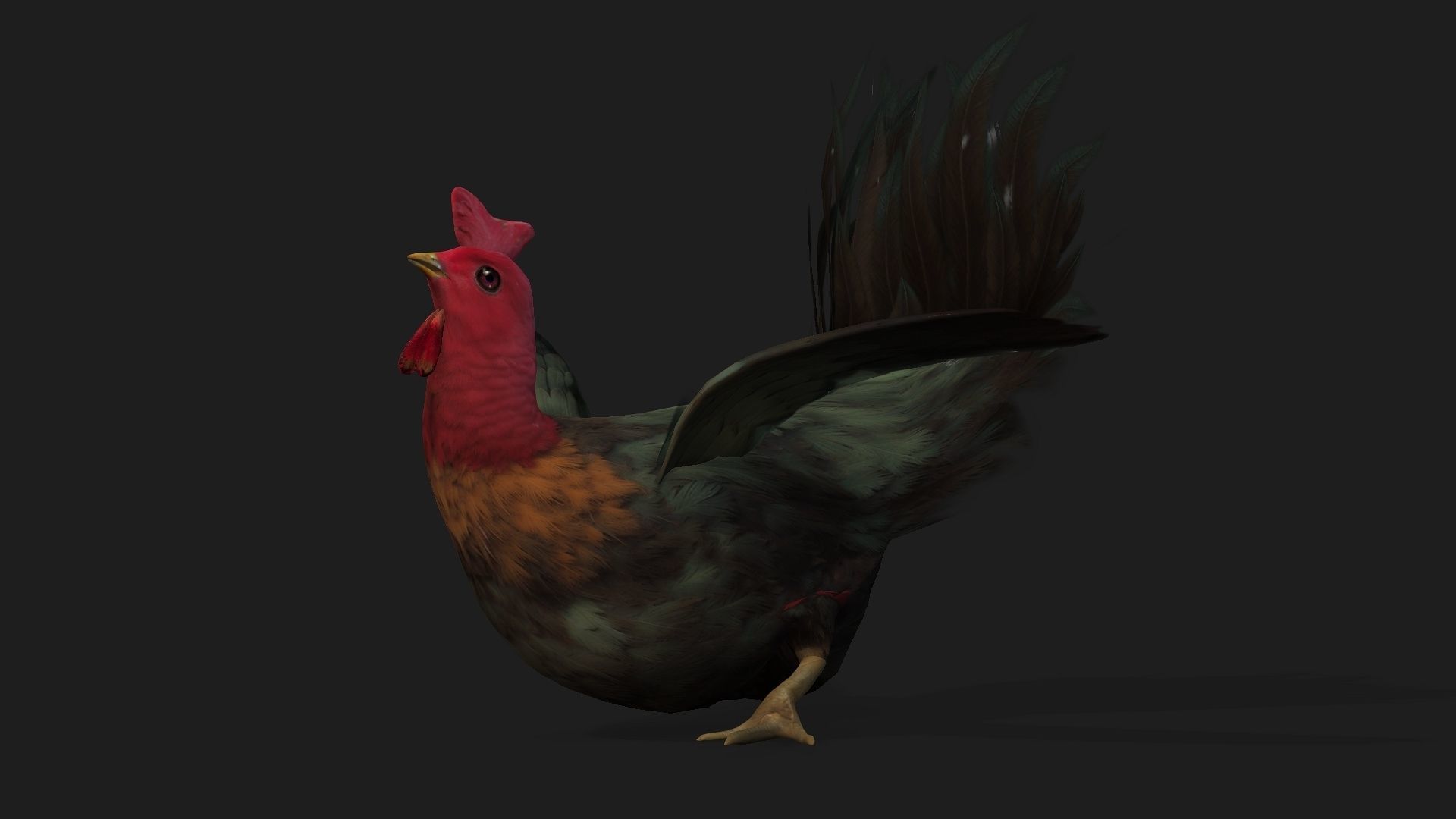 Chicken A5 Low-poly 3D model_16