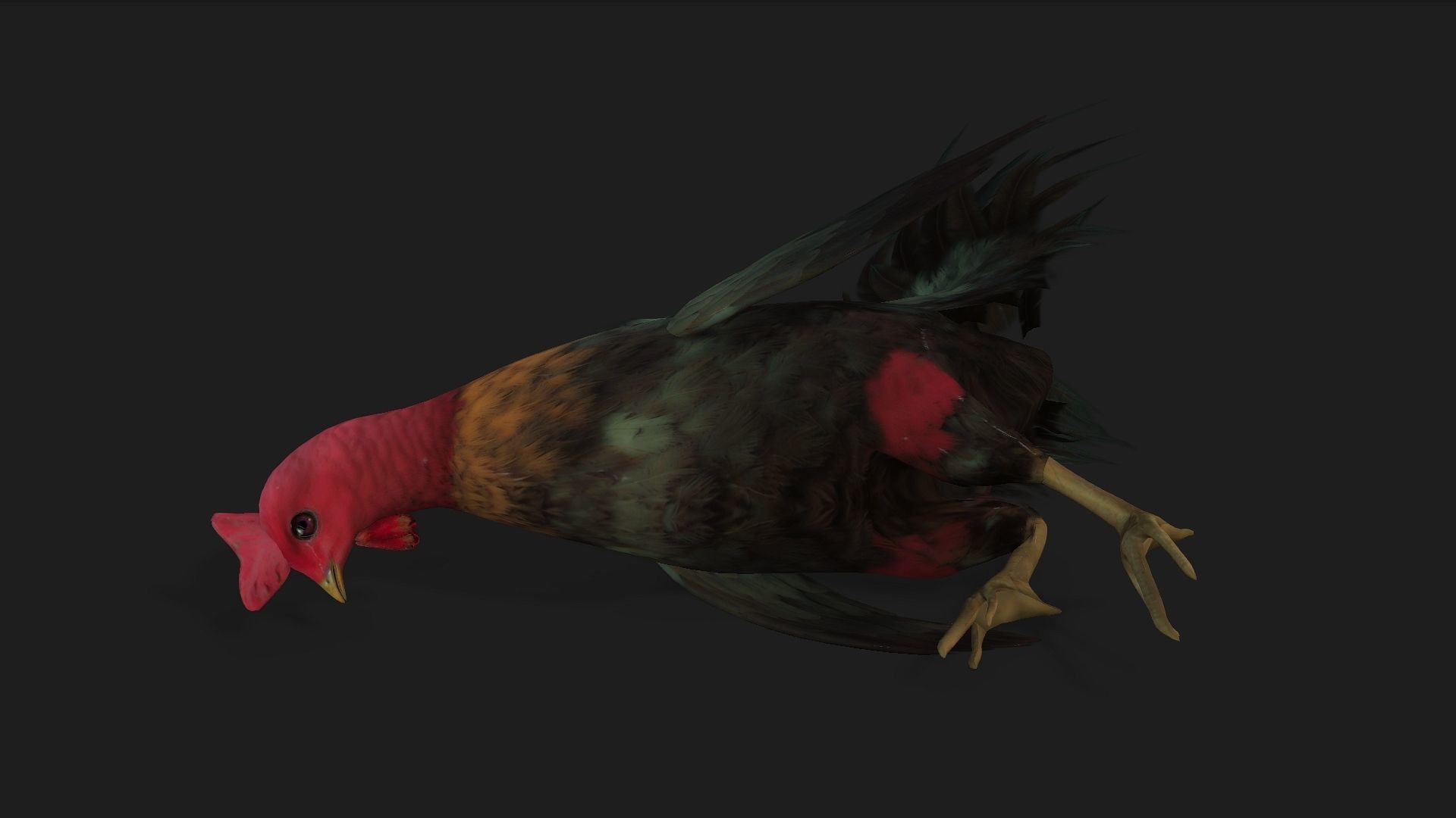 Chicken A5 Low-poly 3D model_4