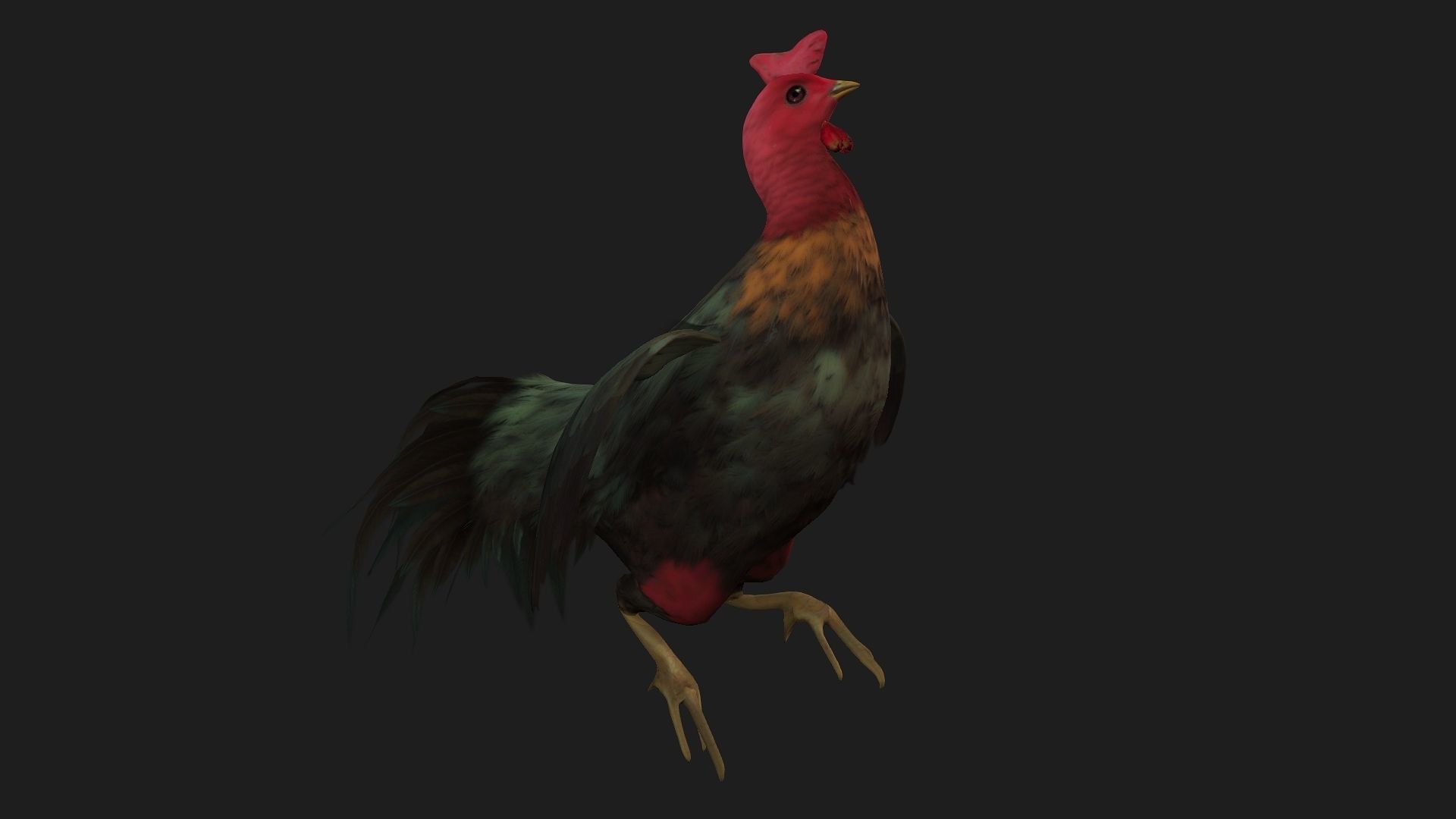 Chicken A5 Low-poly 3D model_3