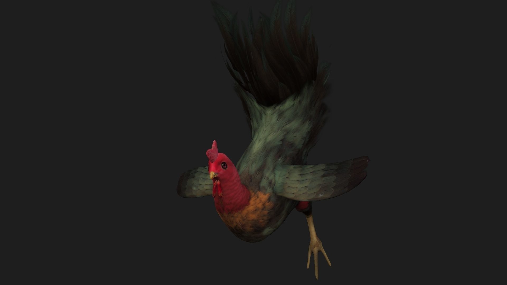 Chicken A5 Low-poly 3D model_15