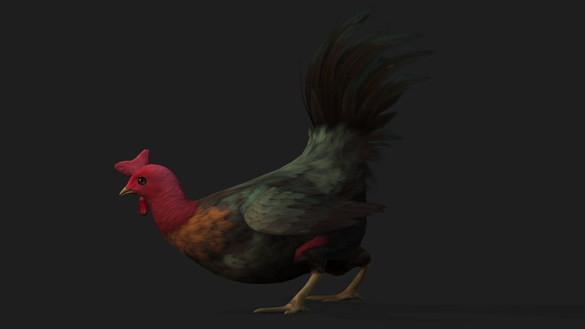 Chicken A5 Low-poly 3D model_6
