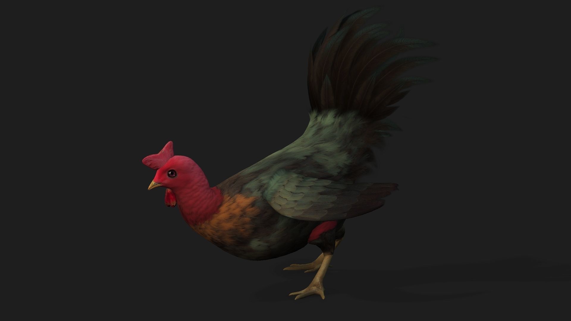 Chicken A5 Low-poly 3D model_2