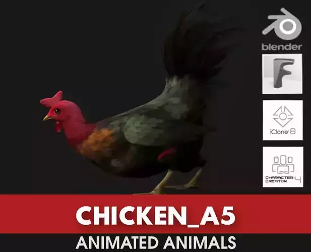 Chicken A5