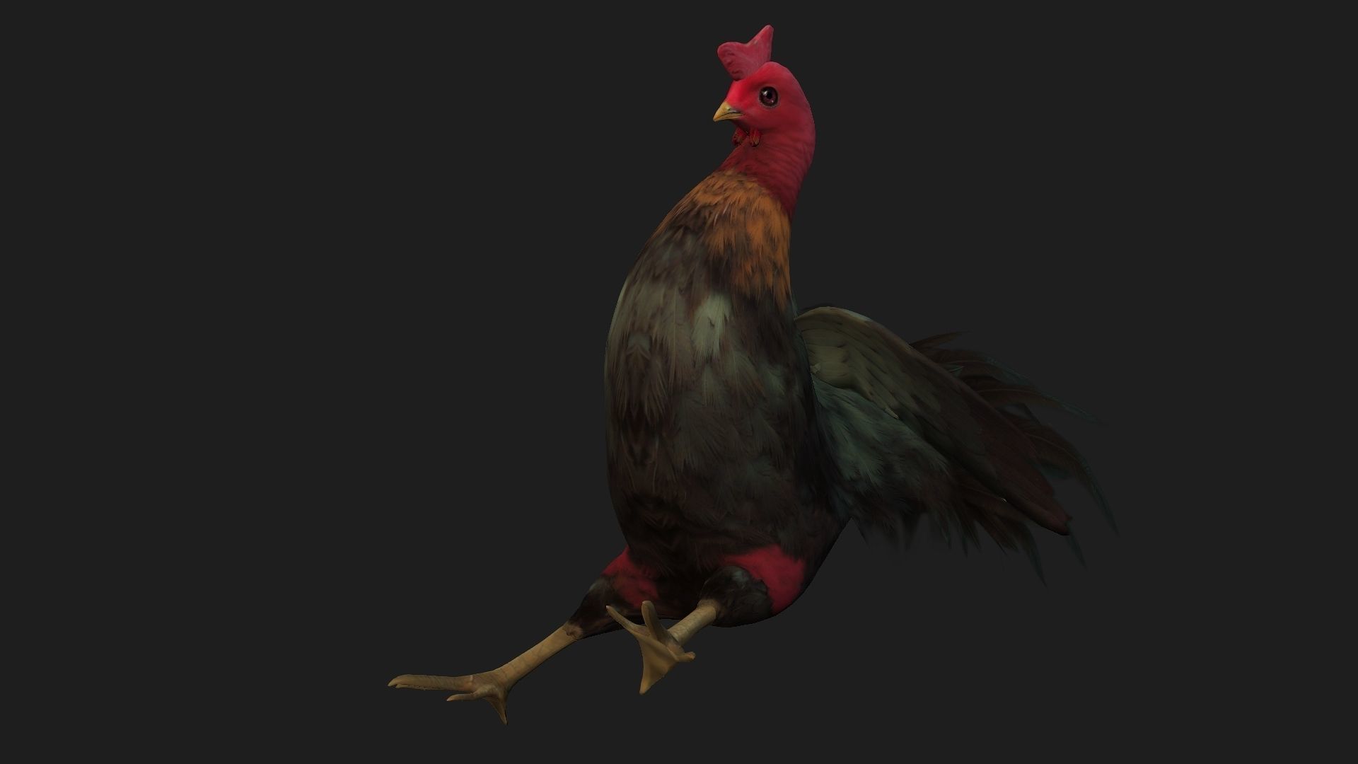 Chicken A5 Low-poly 3D model_10