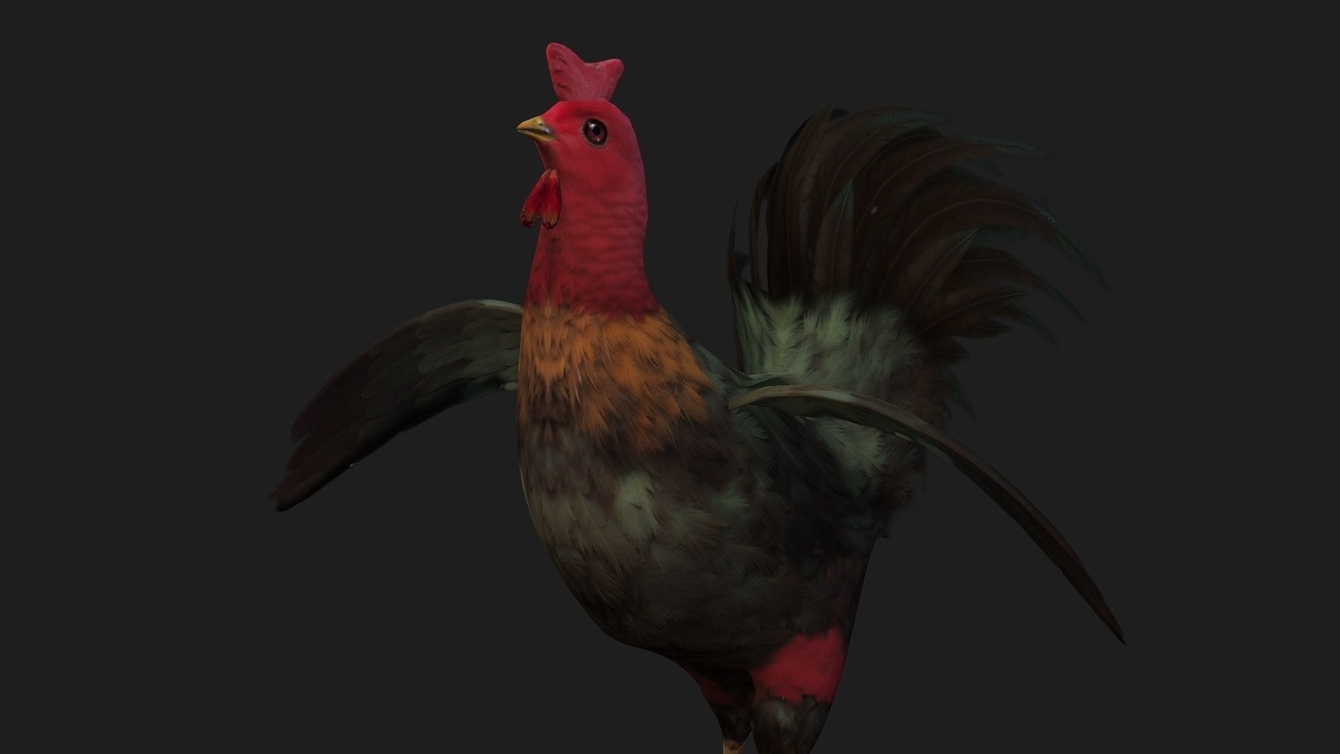 Chicken A5 Low-poly 3D model_11