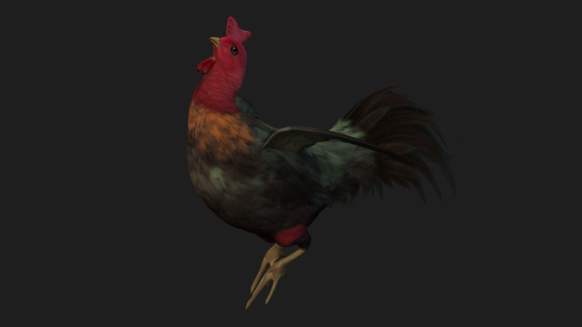 Chicken A5 Low-poly 3D model_14