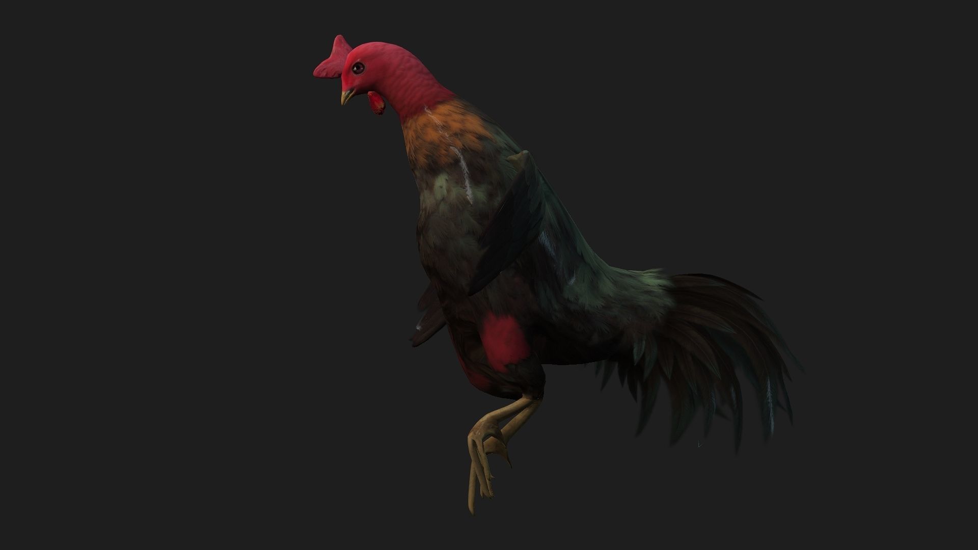 Chicken A5 Low-poly 3D model_8