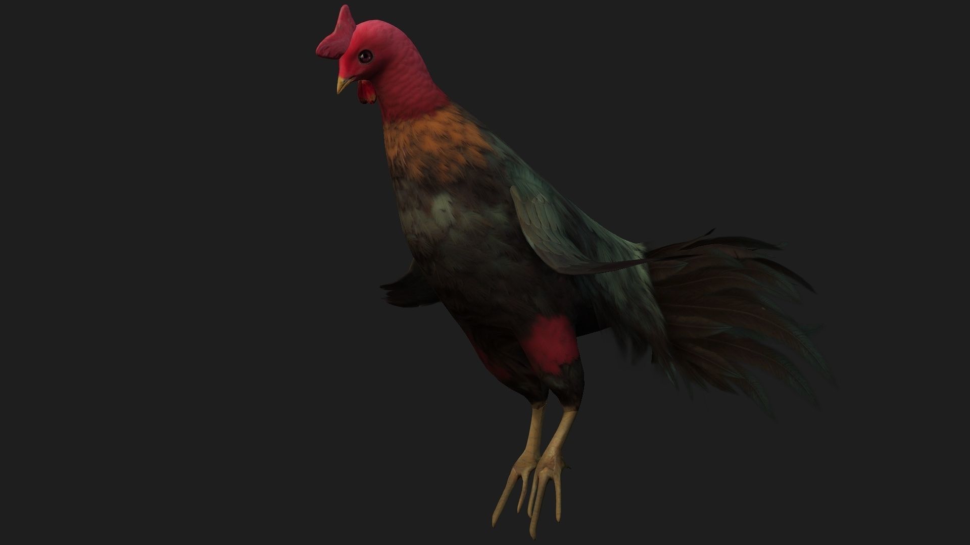 Chicken A5 Low-poly 3D model_13