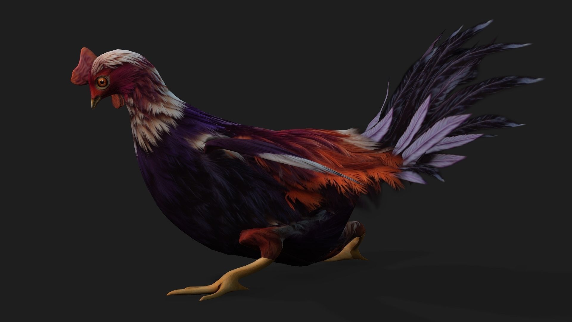 Chicken A6 Low-poly 3D model_16