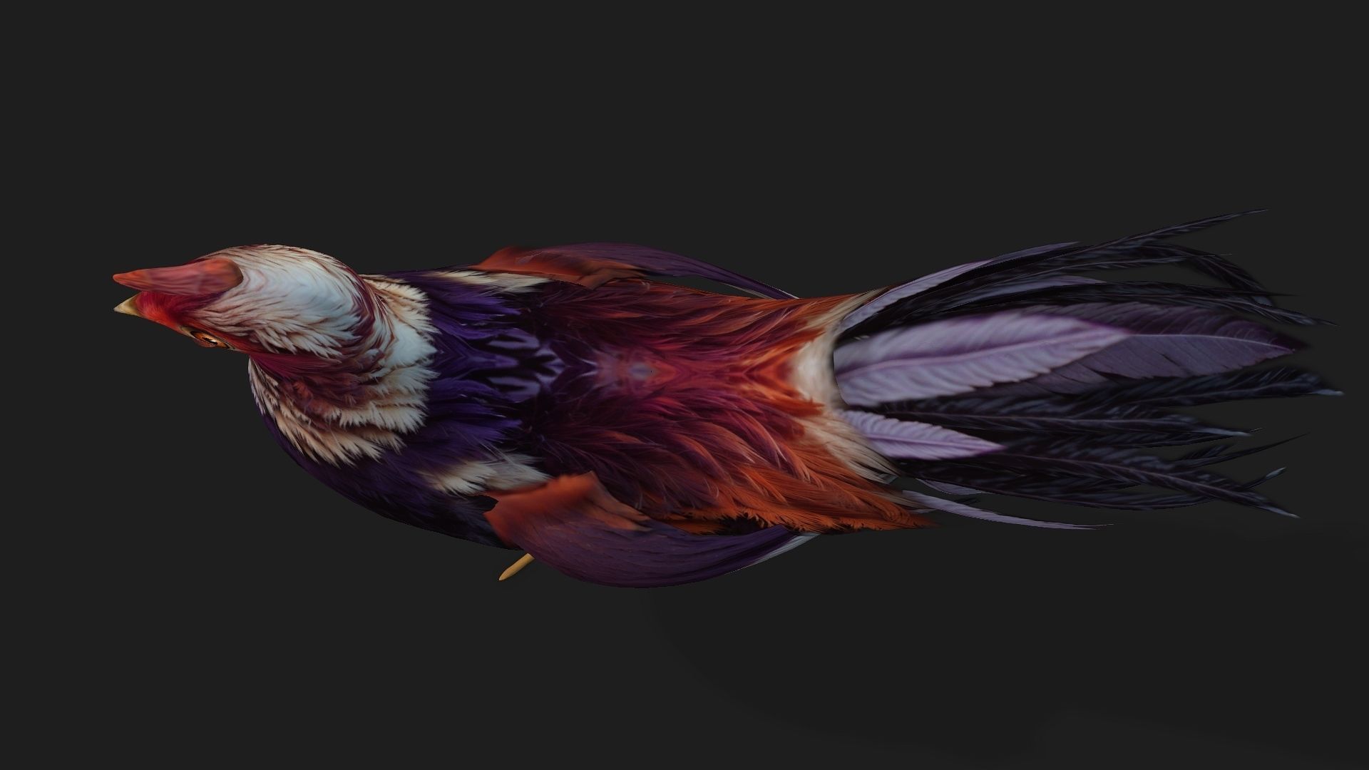 Chicken A6 Low-poly 3D model_4