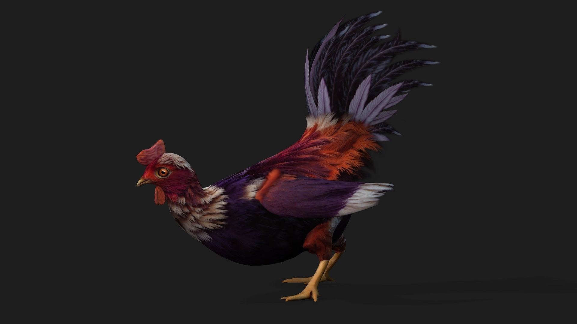 Chicken A6 Low-poly 3D model_2