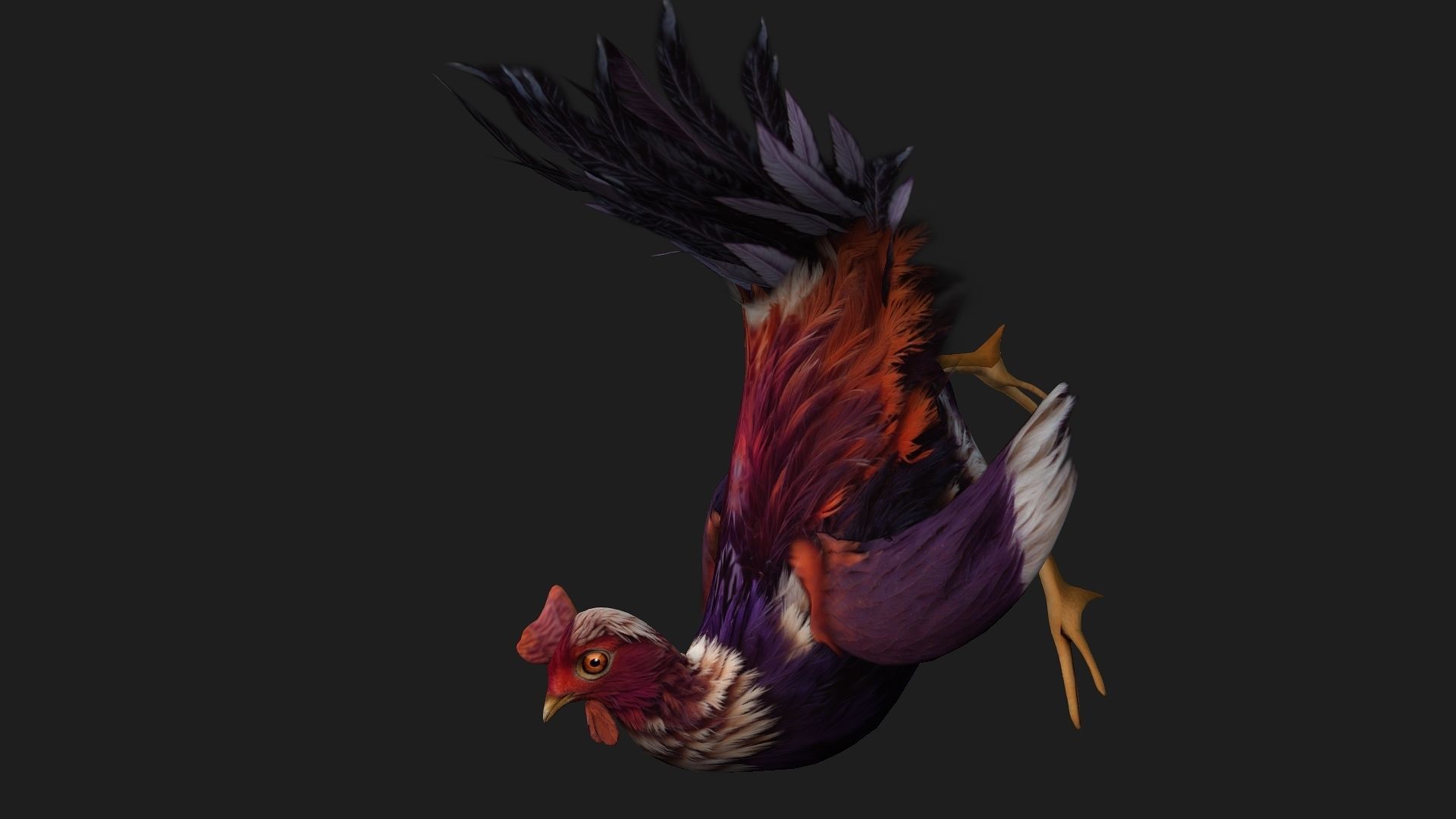 Chicken A6 Low-poly 3D model_13