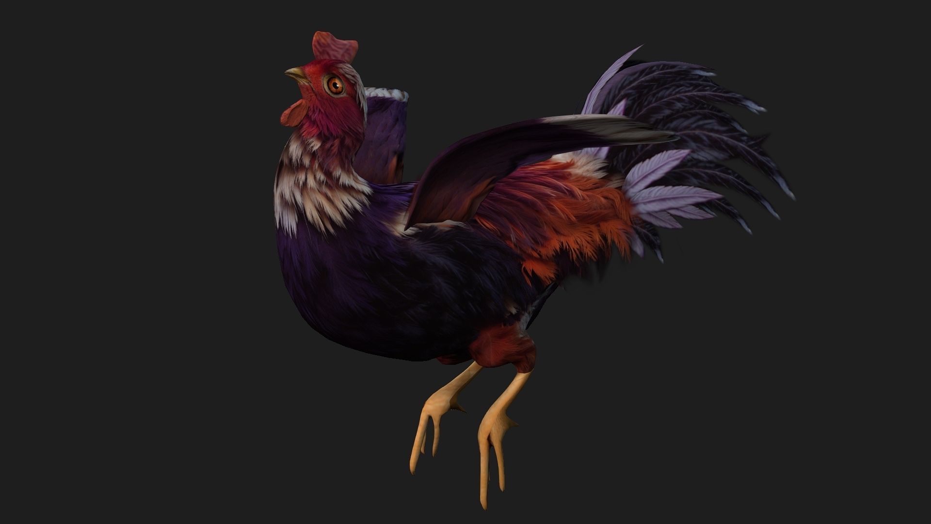 Chicken A6 Low-poly 3D model_12