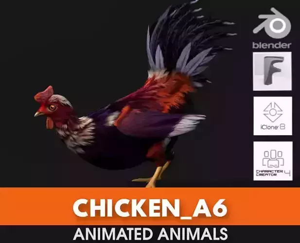 Chicken A6