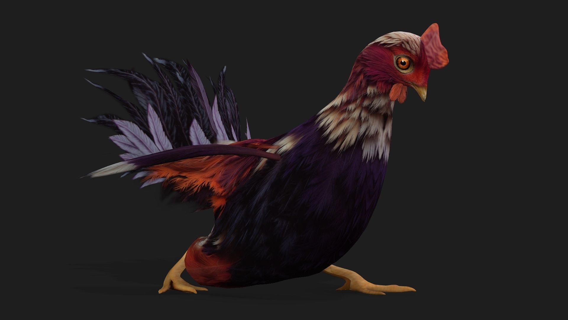 Chicken A6 Low-poly 3D model_15