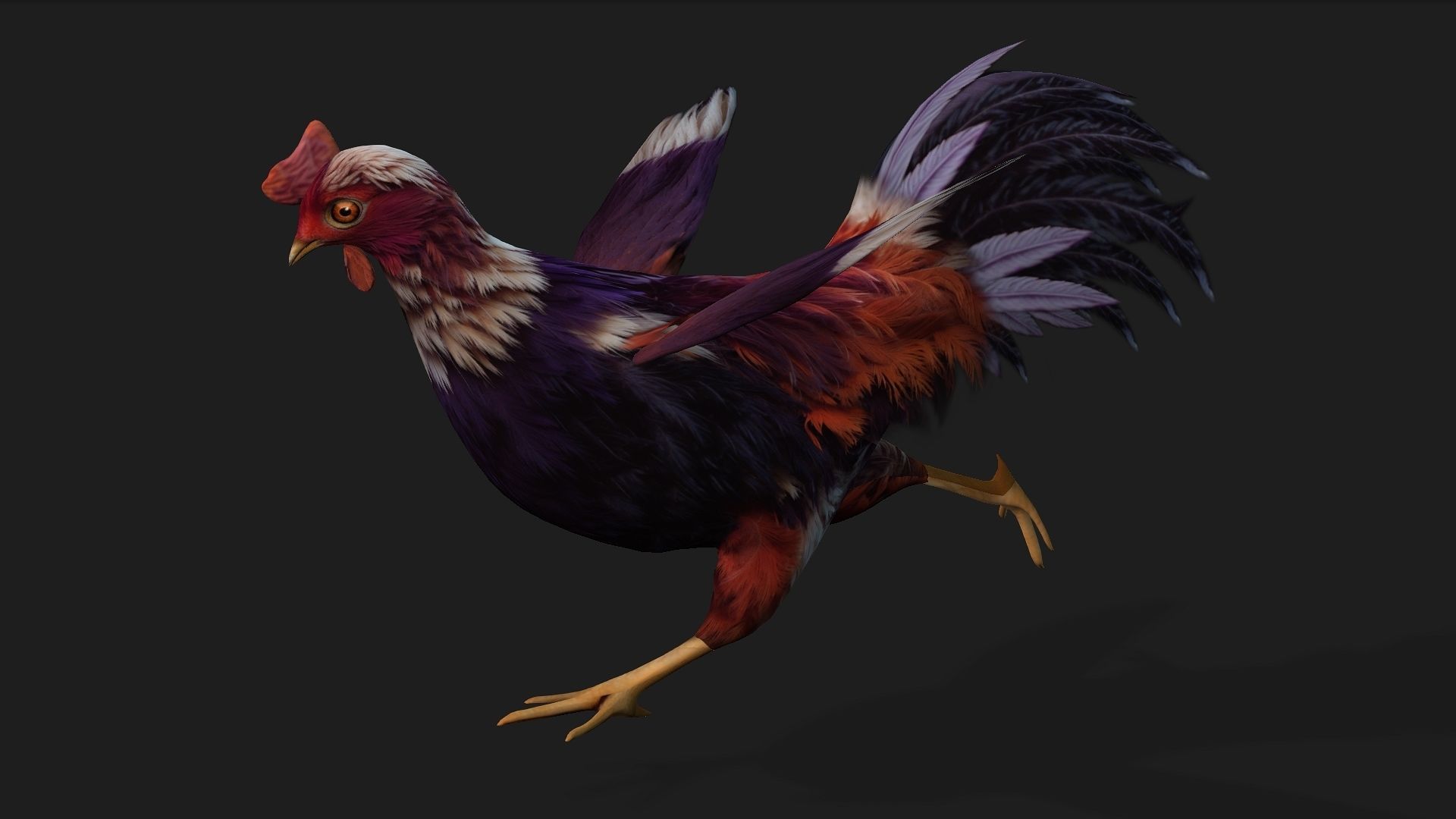Chicken A6 Low-poly 3D model_5