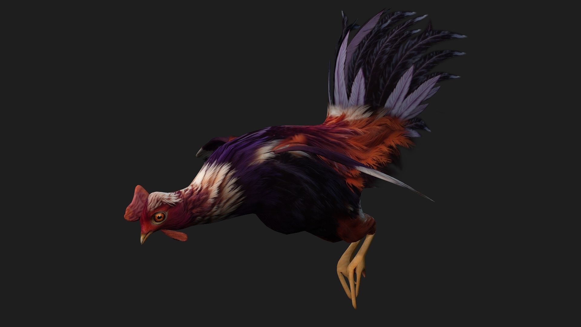 Chicken A6 Low-poly 3D model_8