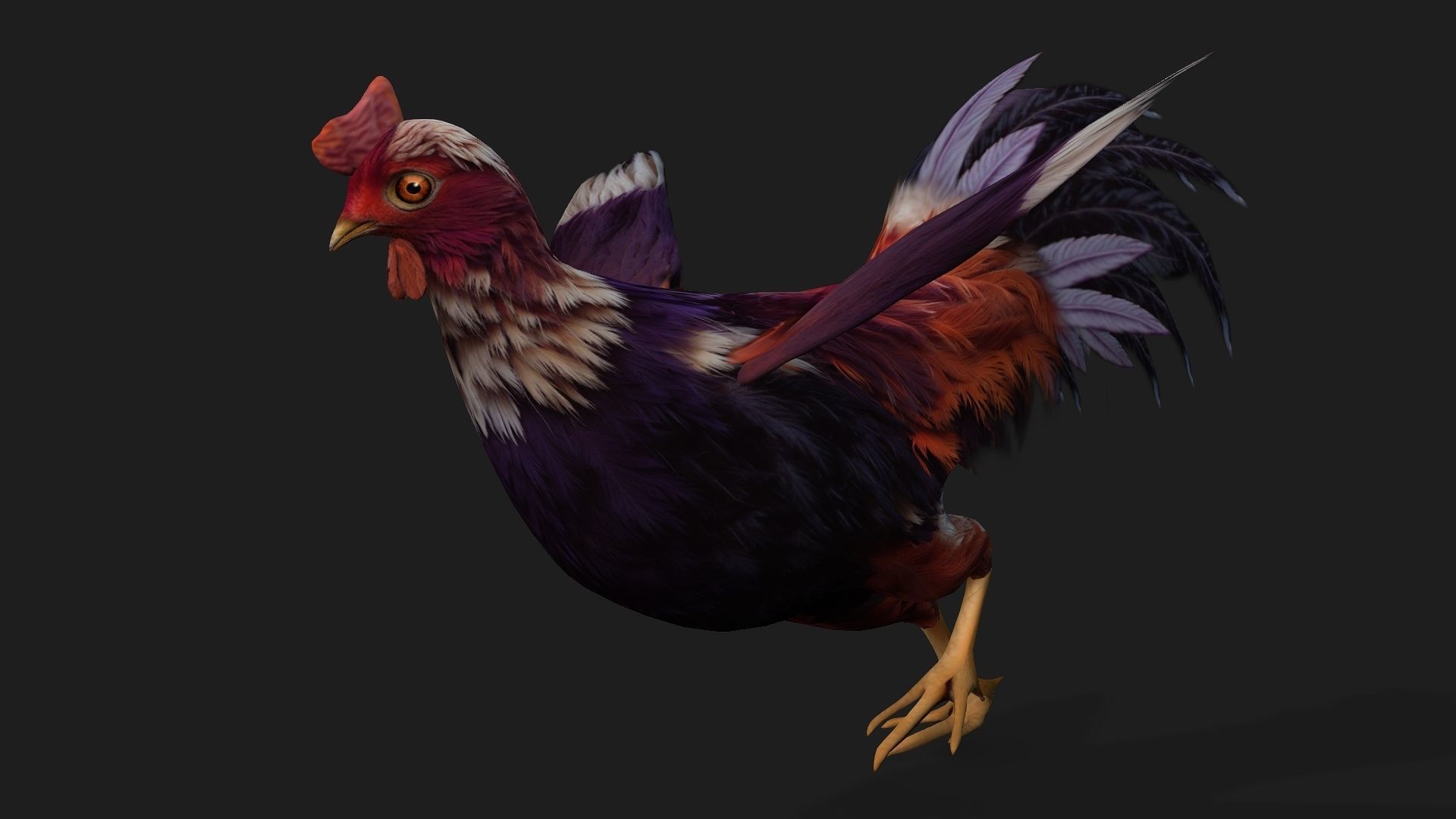Chicken A6 Low-poly 3D model_6