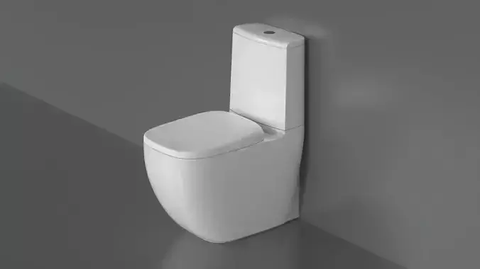 WC10 Toilet