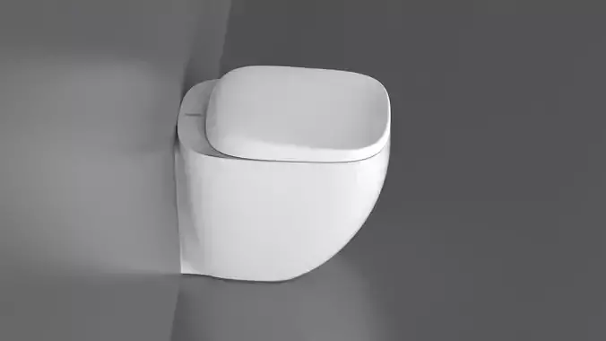 WC11 Toilet