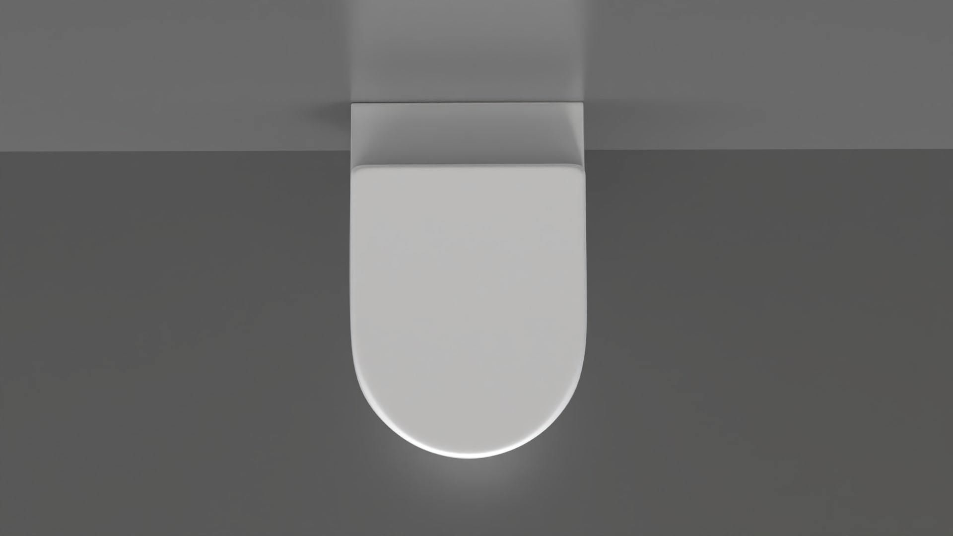 WC19 Toilet 3D model_6