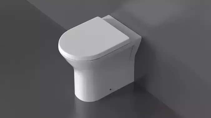 WC19 Toilet